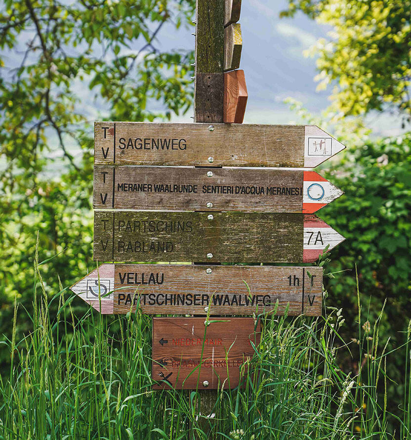 Activities & Surroundings