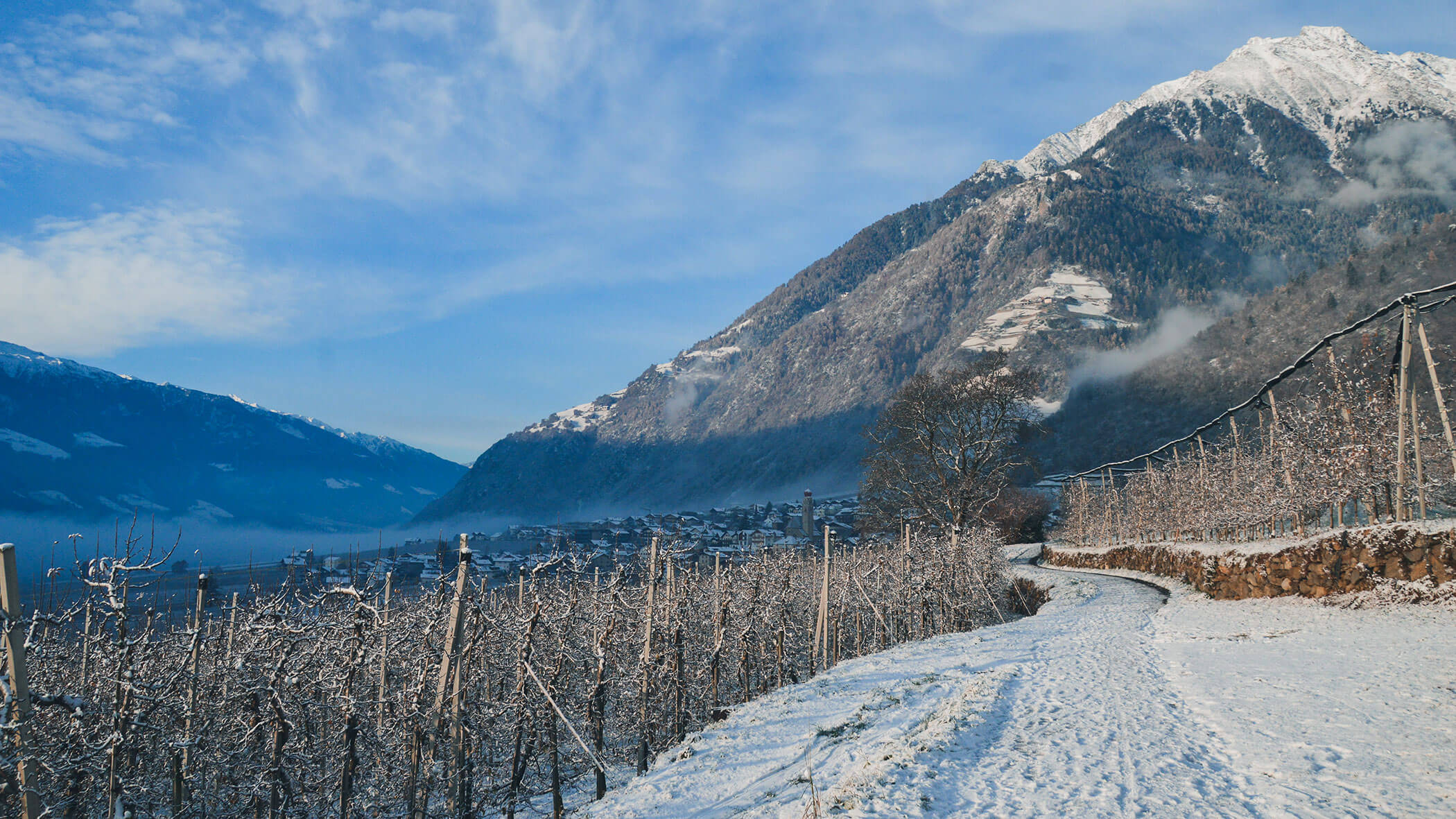 Winter - Guesthouse Karnatsch